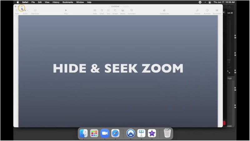 Hide & Seek Zoom Graphic
